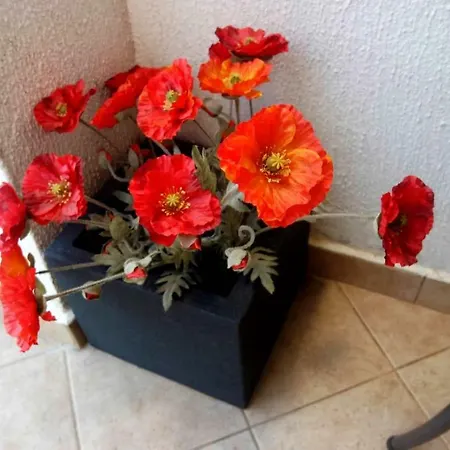 Apartman Tedi *